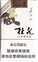 长白山香烟价格表和图片 2025最新长白山香烟价格一览（大全版）  长白山香烟价格表 第19张