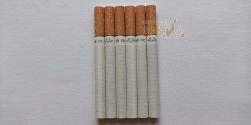 白沙(新精品)香烟多少钱一包,白沙烟鸿运当头多少钱一包 第5张 白沙(新精品)香烟多少钱一包,白沙烟鸿运当头多少钱一包 第5张