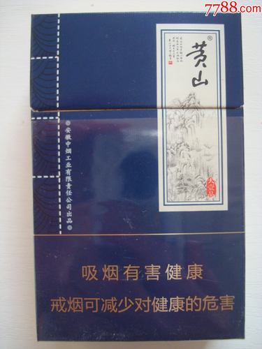 黄山(蓝一品),聊城黄山一品户型图大全 第4张 黄山(蓝一品),聊城黄山一品户型图大全 第4张